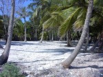 Casona lot for sale.jpg
